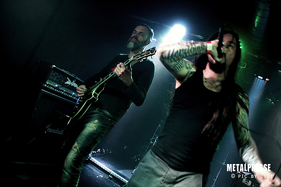 Entwerter Live Wien 2017