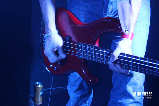 Entwerter Live Wien 2017